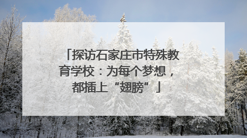 探访石家庄市特殊教育学校：为每个梦想，都插上“翅膀”